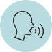 Voice input function